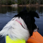 kayakbuffmville