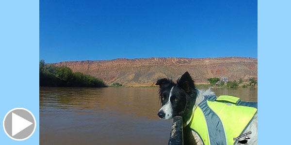 Canoe with Dog Colorado River Moab