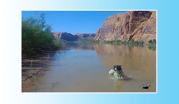 Canoe with Dog Moab Colorado River