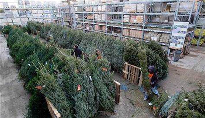 Christmas Shopping with dog HomeDepot