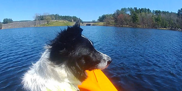 Daisy Dog Kayak Buffumville Lake Dog Friendly
