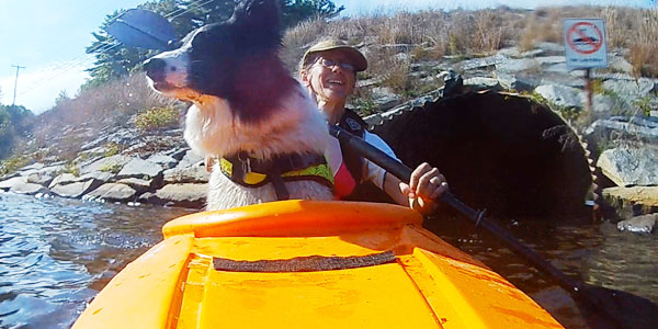 Daisy Dog Kayak Buffumville Lake Tunnel Dog Friendly