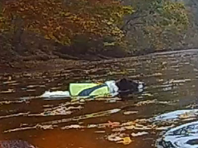 Daisy Dog Learns she can Swim