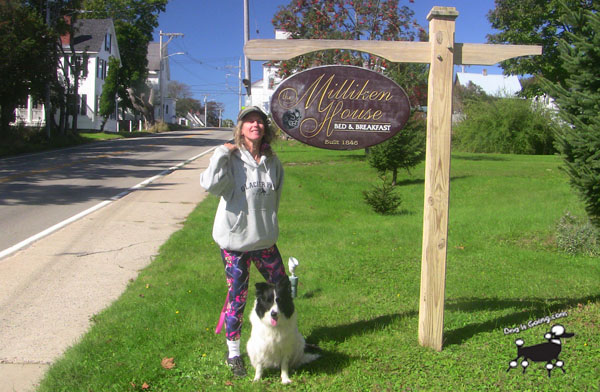 Dog Friendly Travel to Miliken House Eastport Maine
