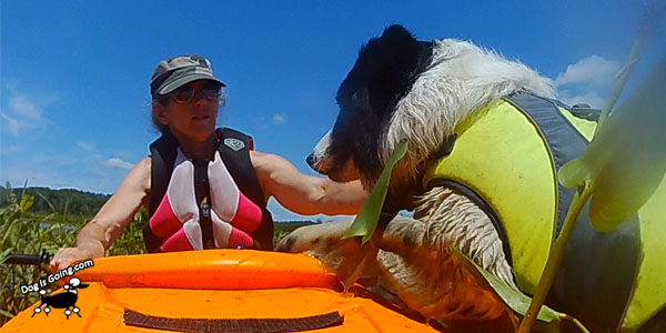 Dog Kayak Quaboag River Kayak