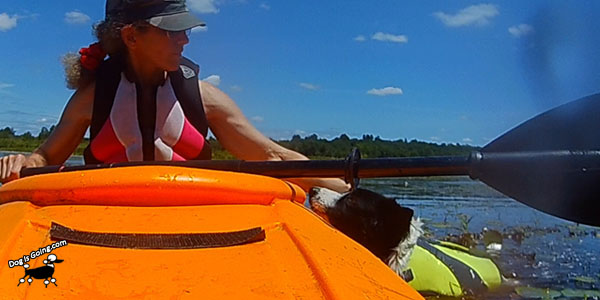 Dog Kayak Quaboag River