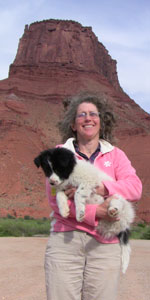 DogFriendlyMoab
