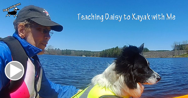 Teach Dog to Kayak