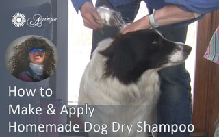 Daisy Dog Dry Bath Recipe