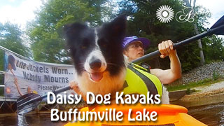 Daisy Dog Kayak Buffumville Lake Charlton MA Dog Friendly
