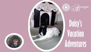 Dog Friendly Travel Eastport ME 
