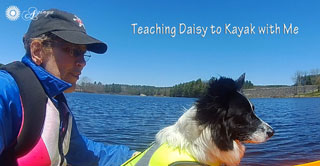 Teach Dog to Kayak with you Buffumville