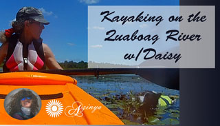 Teach Dog to Kayak Quaobog River